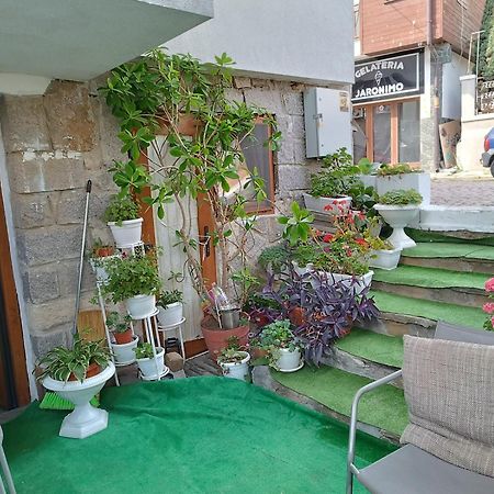 Farlalievi Guest House سوزوبول المظهر الخارجي الصورة