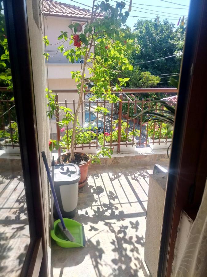 Farlalievi Guest House سوزوبول المظهر الخارجي الصورة